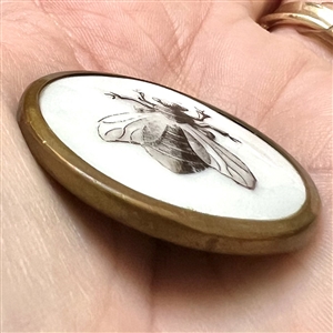 A 19th c. Liverpool transfer button of a bee.