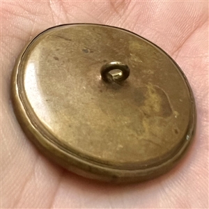 A 19th c. Liverpool transfer button of a bee.