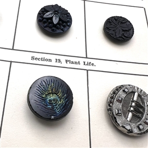 Card of 36 black glass classification buttons.