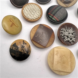 Ten assorted vegetable ivory buttons.