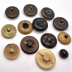 Ten assorted vegetable ivory buttons.