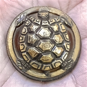 Sculptural carved wood turtle button.