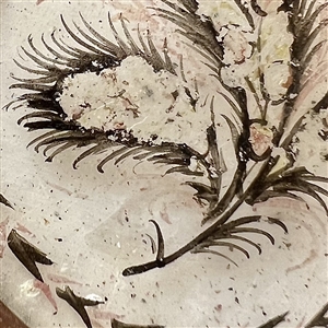An 18th c. reverse painted under glass button of feathers.