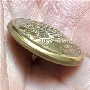 Harrison log cabin brass button