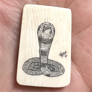 Scrimshaw on natural material button of a cobra snake.