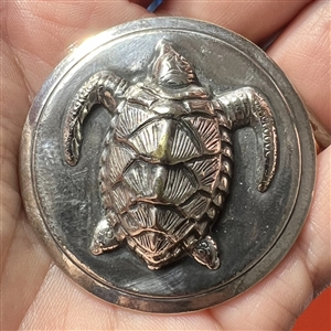 Vintage silvered brass Hawksbill sea turtle button.
