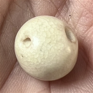 Satsuma ball button of berries and leaves.