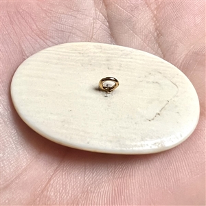 Scrimshaw button of an Eskimo spear hunting from a kayak on natural material.