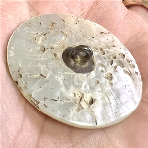 A 19th c. Pearl with incised and silvered French design.