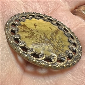 Very unusual Victorian habitat button of plant life under impressed celluloid.