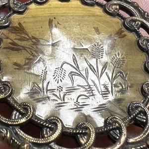 Very unusual Victorian habitat button of plant life under impressed celluloid.