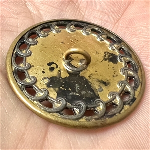 Very unusual Victorian habitat button of plant life under impressed celluloid.