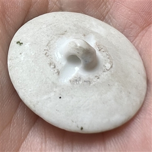 Transitional Mennecy ceramic button of flowers.