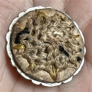 RARE and FABULOUS 18th c. Incised pearl button with passementerie bugs and flower (?) center.