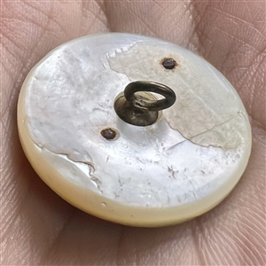 Cameo carved pearl button with cattails and brass heron with fish.