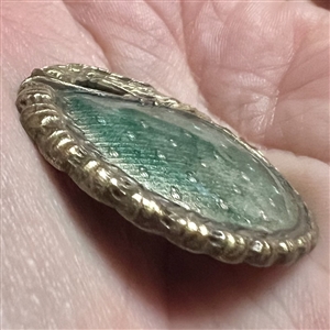 Enamel button with fabulous creature border.