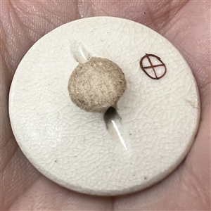 Japanese Satsuma button of group of Geiko women under an umbrella.