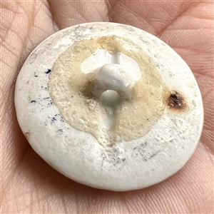 Transitional Mennecy (?) porcelain button of flowers.