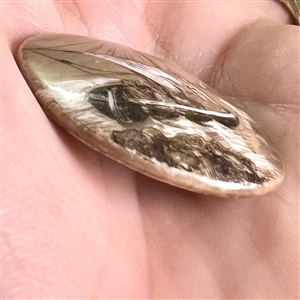 Porcelain button of a sailing ship near shore.