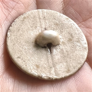 Porcelain button of a sailing ship near shore.