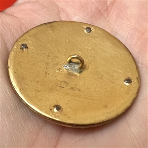 A Victorian painted bird in flight on celluloid set in metal with cut steels button.