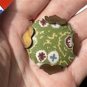 Painted porcelain button set in an unusual brass “spider.
