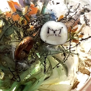Huge glass studio button of Tussie Mussie - flower bouquet in a wire basket by Mary Gaumond.