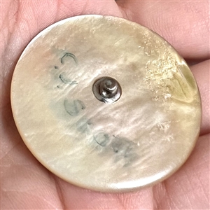 Painted shell studio button of a pelican by Clair Scott. 