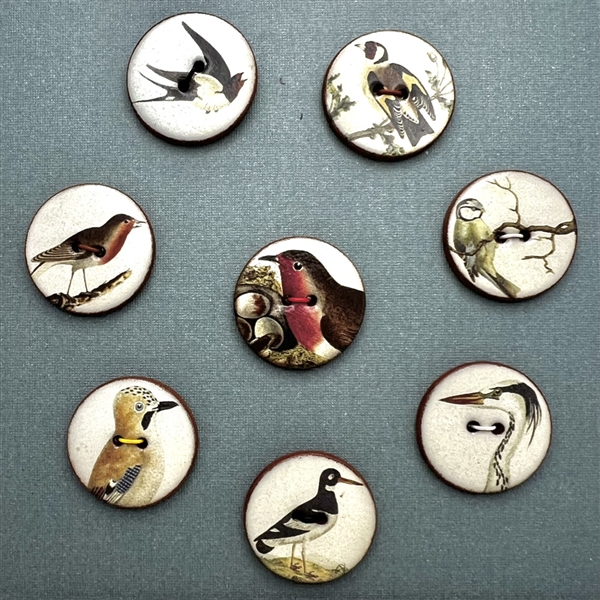 Card of eight ceramic bird buttons handmade by Stockwell Ceramics. 
