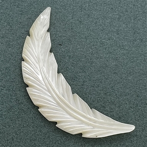 Div I. carved pearl button of realistic feather. 