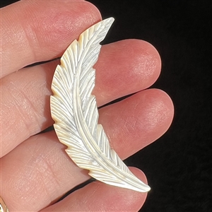 Div I. carved pearl button of realistic feather. 