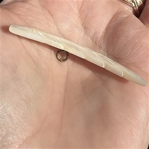 Div I. carved pearl button of realistic feather. 