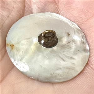Incised iridescent pearl button of a bridge structure.