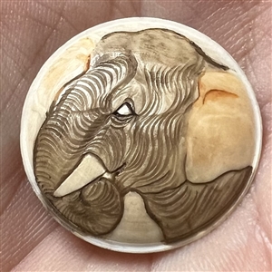 Carved natural material button of an elephant.