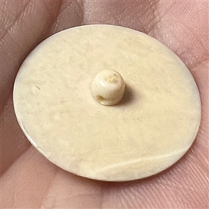 Carved natural material button of an elephant.