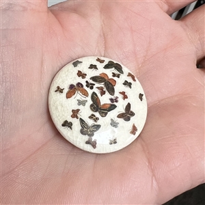 Satsuma button of many butterflies.