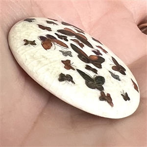 Satsuma button of many butterflies.