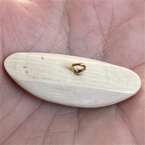 Scrimshaw button of a husky dog on natural material