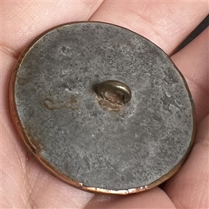 An 18th c. Habitat button with real bug and plant life.