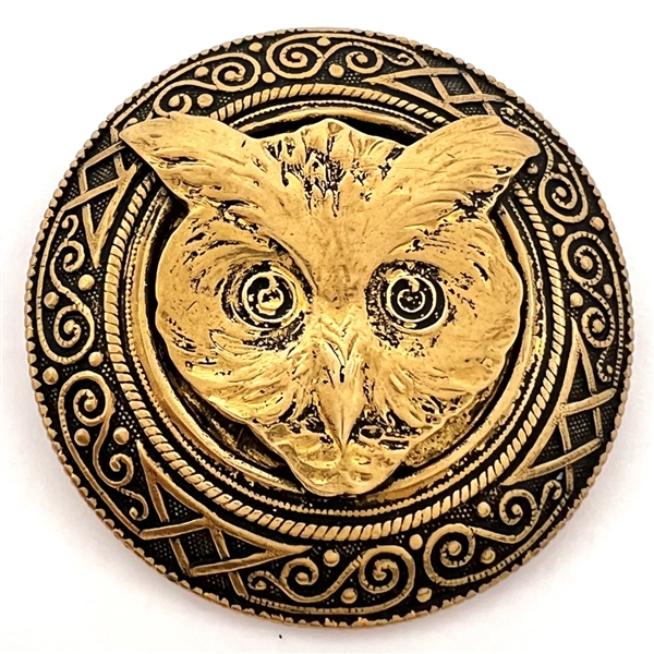 Large brass owl head button.