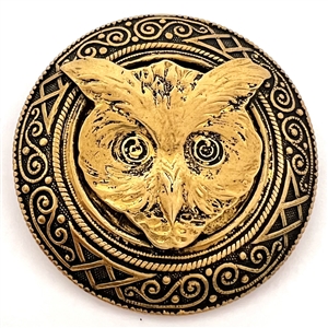 Large brass owl head button.