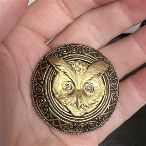 Large brass owl head button.