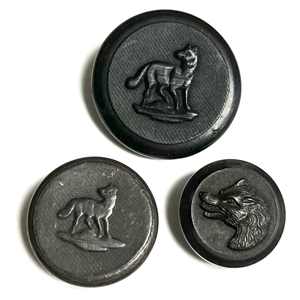 Three sporting buttons of foxes in horn and rubber