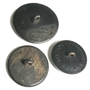 Three sporting buttons of foxes in horn and rubber