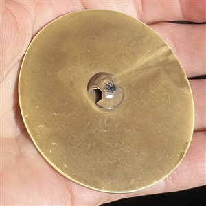 Extra large Vintage celluloid button of a fan with Asian verbal.