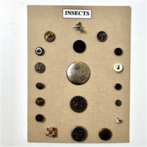 Card of nineteen insect buttons. 