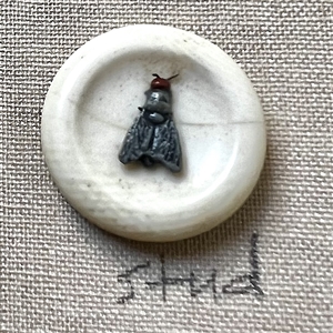 Card of nineteen insect buttons. 