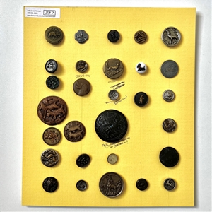 Card of twenty nine buttons of assorted animals.
