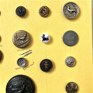Card of twenty nine buttons of assorted animals.