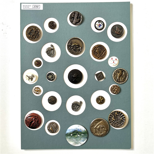Card of twenty five buttons of birds. 